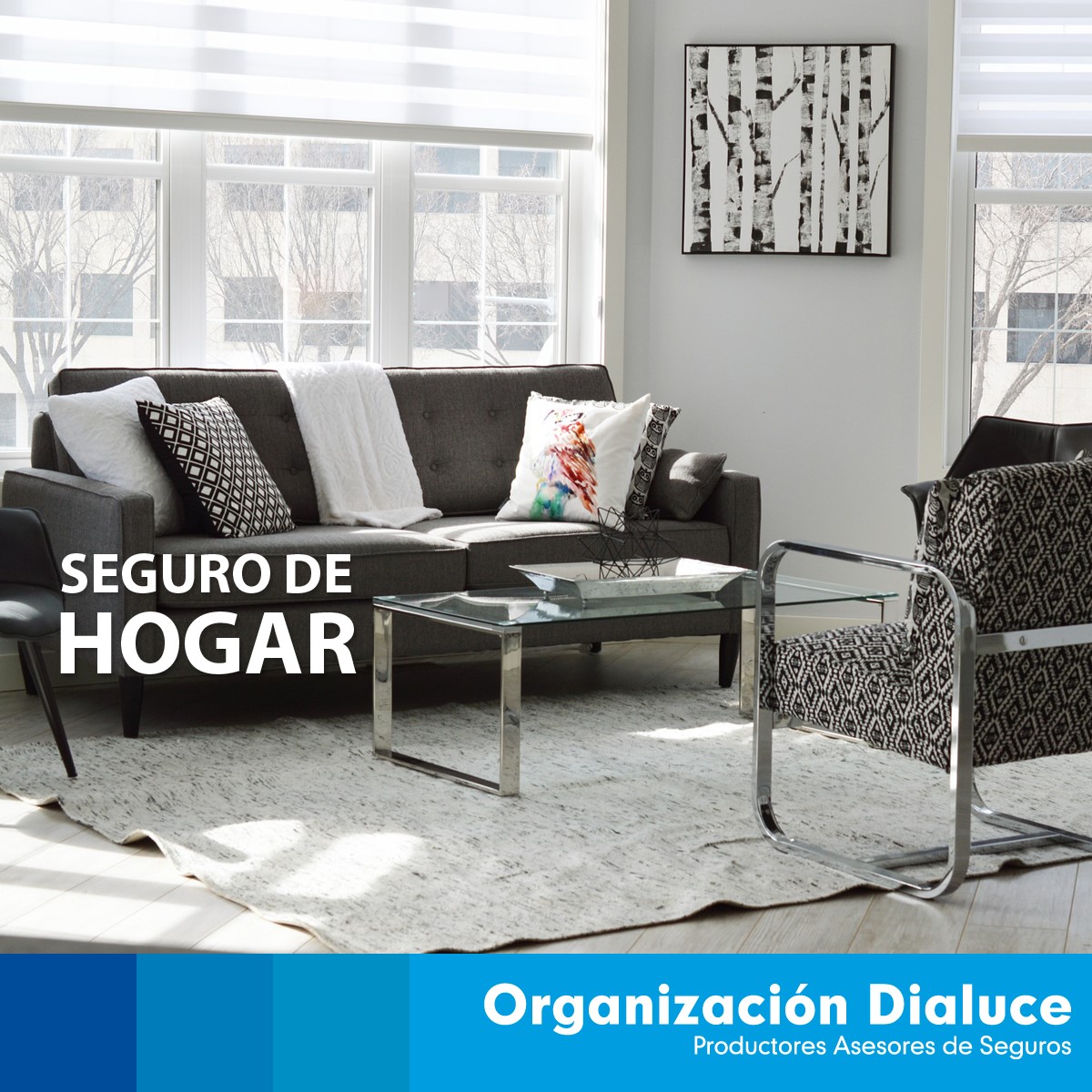 Foto 4 de Organizacion Dialuce